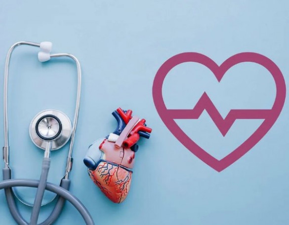 Прием кардиолога + ЭХОКГ (УЗИ сердца) со скидкой - 20%