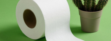 Лигирование геморроя