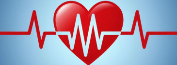 Холтеровское мониторирование ЭКГ